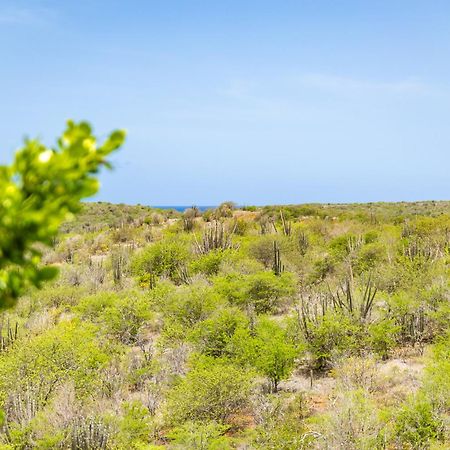 6 Persoons Vakantiehuis In Jan Thiel 威廉斯塔德 外观 照片